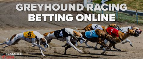 greyhounds betting promotions|US Greyhound Racing Betting Online: Best Sites And Apps.